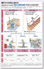 手摺の選び方