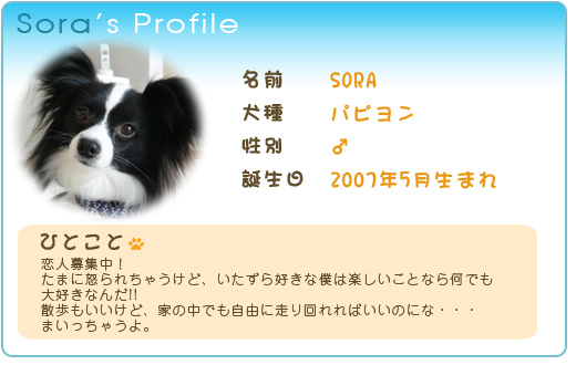 sora's Profile